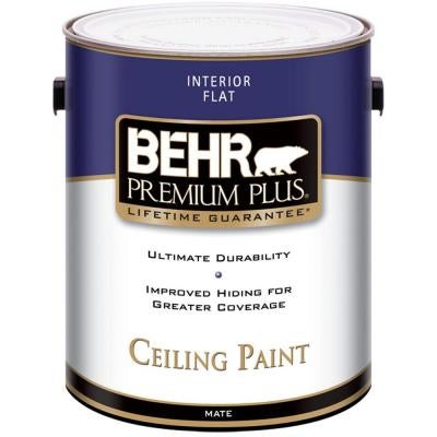 Anyone Use Behr Ceiling Paint Lately Page 3 Professional Painting Contractors Forum