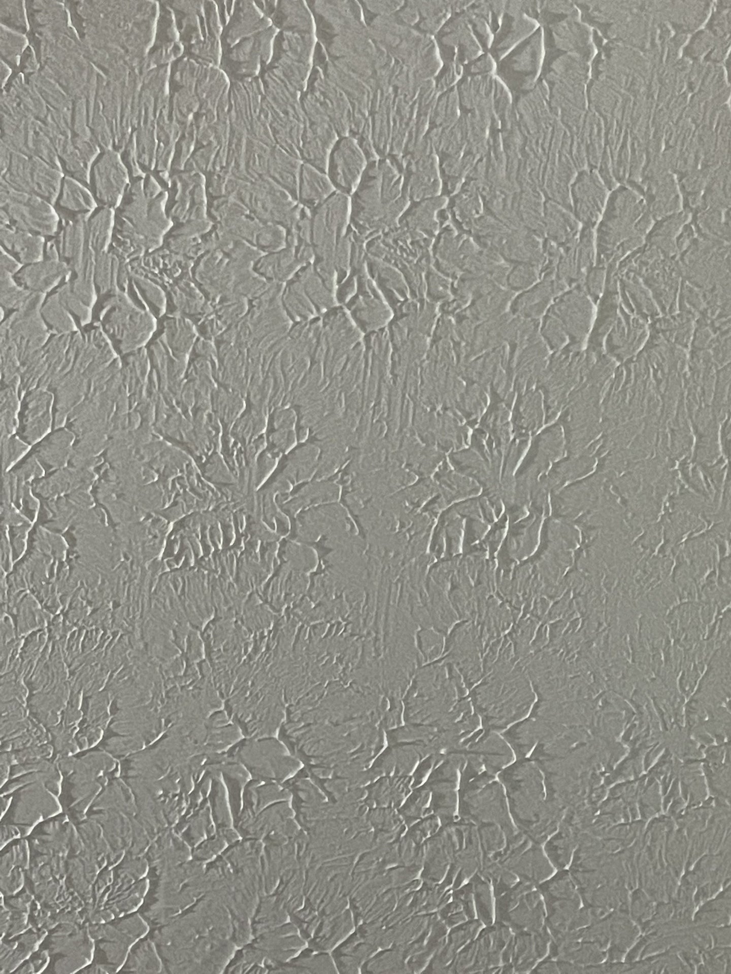 Ceiling Texture Called Professional